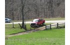 Property photo 12 - 137 Acres in 2 Tracts - 64 Tillable Acres, Potential Building Sites, Hunting
